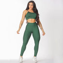 Conjunto Academia Top e Calça