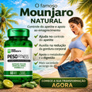 🔥 BEM FAMOSA SHAPE BALANCE 600MG | Quitosana + Spirulina + Psyllium + Cromo + Vitaminas A e C | Produto Original | Oferta Especial