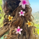 Kit 3 Presilha De Cabelo Flor Estilo Havaiano Piranha Flor Do Campo Grampo De Garra de Cabelo 4 cm