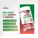 Bemfamosa Hibiscus Fit Premium" e "Bem Famosa Slim Herbal Premium